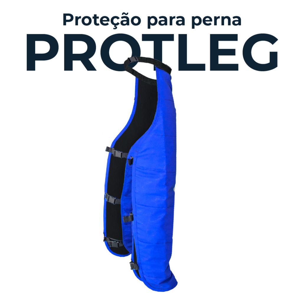 PROT-LEG
